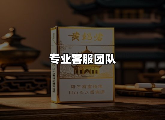专业优势